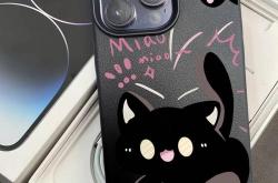 卖手机壳比卖手机还赚钱