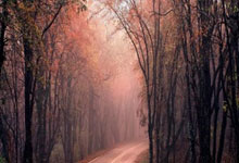 成为游戏代理如何做游戏推广赚钱？