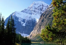 CS2新道具兑换规则致游戏物品交易市场刀具 / 手套价格大跌