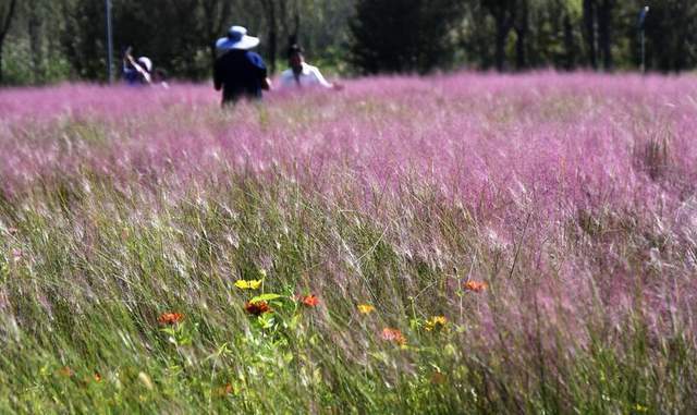 时评：“北京模式”让绿水青山变现生金