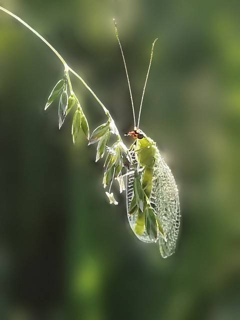 “你就是没正经工作”：藏在自由职业偏见背后的人性真相