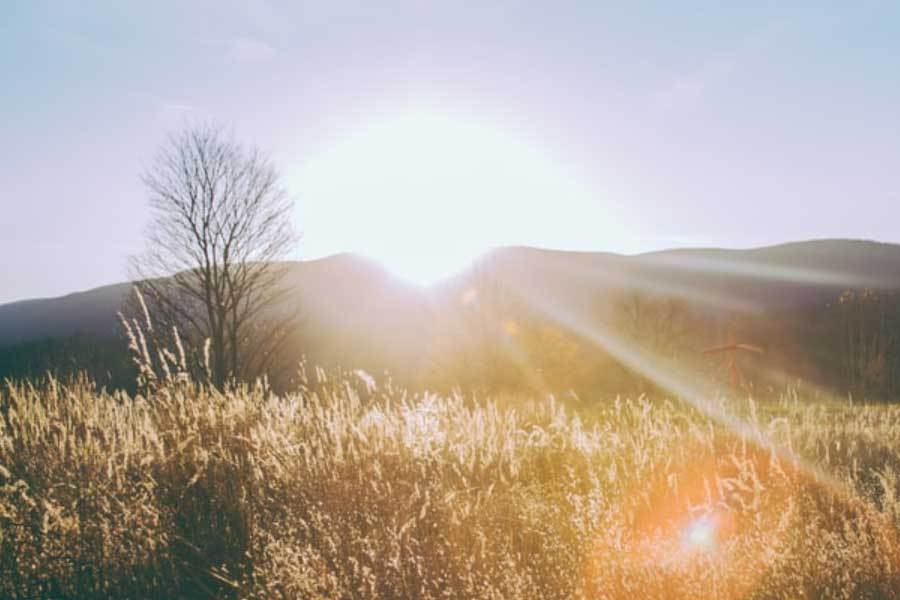 国家版本馆数字藏品上线